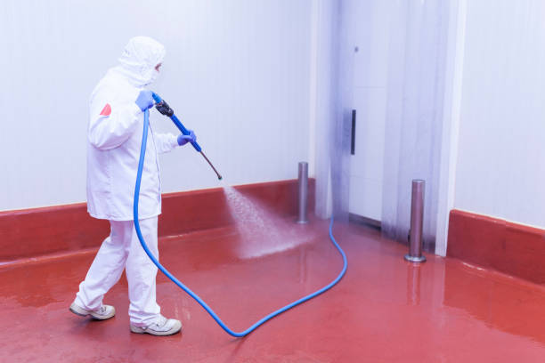 Best Pre-Holiday Cleaning  in Enigma, GA