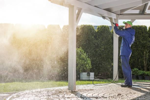 Best Pre-Holiday Cleaning  in Enigma, GA